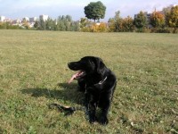 /album/ruzne/max-22-9-09-3-jpg/